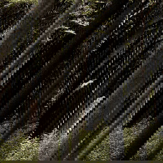 Storefront > Inspirationen > On New Territory > Mother Nature