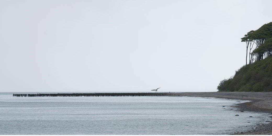 Storefront > Designer > Brunello Cucinelli