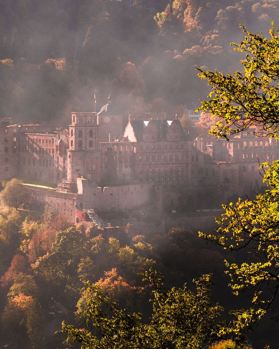 Zurück zur Übersicht