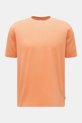04651/ A trip in a bag Rundhals-T-Shirt orange