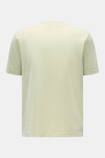 Rückansicht des pastellgrünen 04651/ A trip in a bag Rundhals-T-Shirts aus reiner Baumwolle, Regular Fit, weicher Griff, mit kleinem Weblabel.