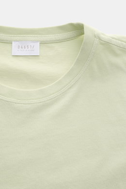 Nahaufnahme von 04651/ A trip in a bag Rundhals-T-Shirt pastellgrün, Jersey aus reiner Baumwolle, weicher Griff, Regular Fit, Rundhalsausschnitt, kleines Weblabel.