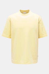 Frontale Nahaufnahme des 04651/ A trip in a bag Rundhals-T-Shirts pastellgelb aus robuster, schwerer Baumwolle mit Regular Fit, Rundhalsausschnitt und kleinem Weblabel.