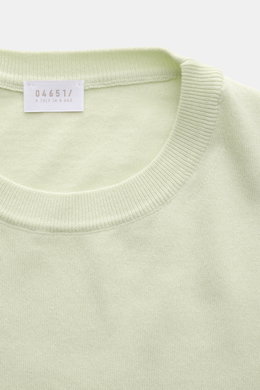 Close-up front view of the 04651/ A trip in a bag Kurzarmpullover 'Pima Cotton' pastellgrün, showcasing its fine knit round neckline and soft pastel green color. 

<p>Aus feiner Pima-Baumwolle gefertigt, lässt Sie der Kurzarmpullover 'Pima Cotton' von 046