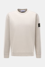 Stone Island Long sleeve light grey crew neck sweatshirt photographed from the front, made of heavy cotton jersey with a compass badge on the left sleeve.

<p>With this crew neck long sleeve in heavy cotton jersey with compass badge on the sleeve, STONE I