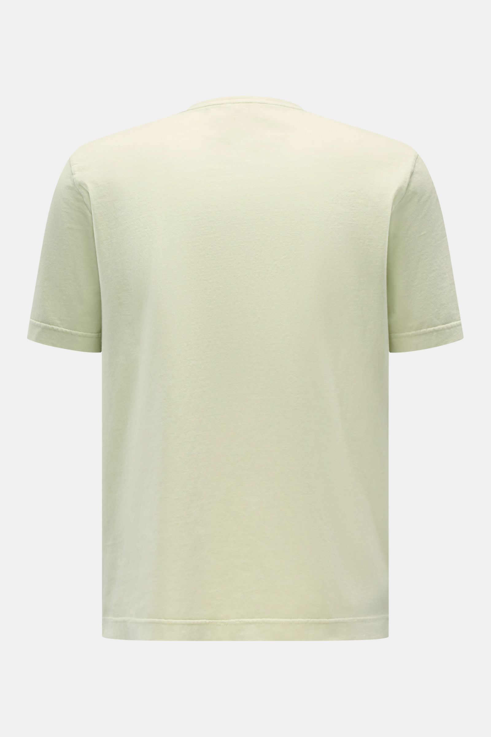 Rückansicht des pastellgrünen 04651/ A trip in a bag Rundhals-T-Shirts aus reiner Baumwolle, Regular Fit, weicher Griff, mit kleinem Weblabel.