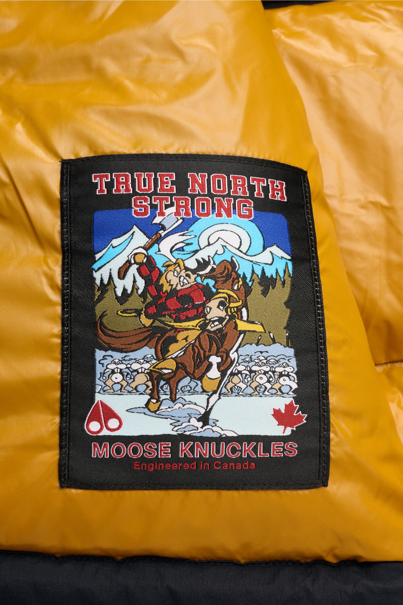 MOOSE KNUCKLES Daunenweste 'Everest' navy | BRAUN Hamburg