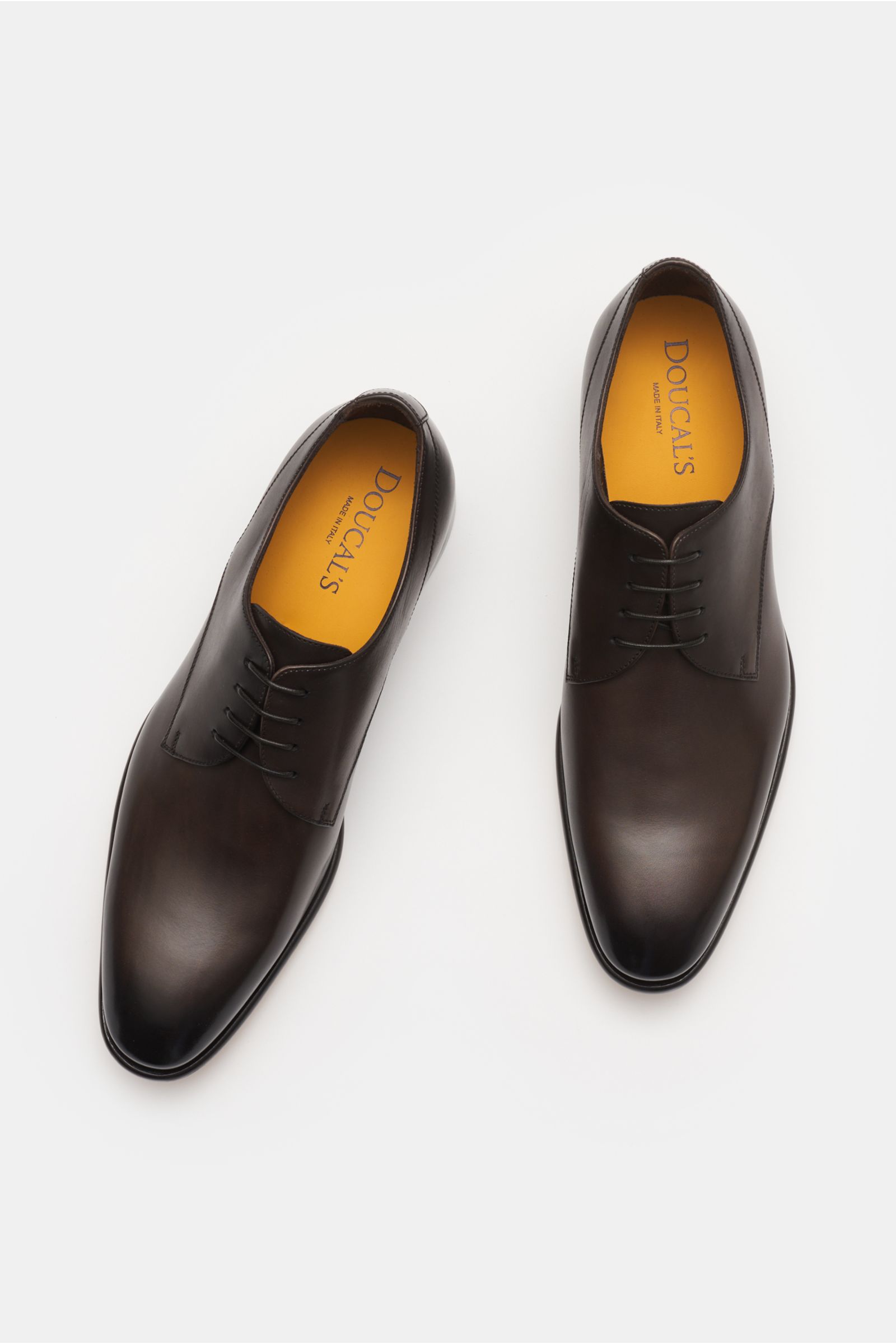 Doucal's Derby dunkelbraun