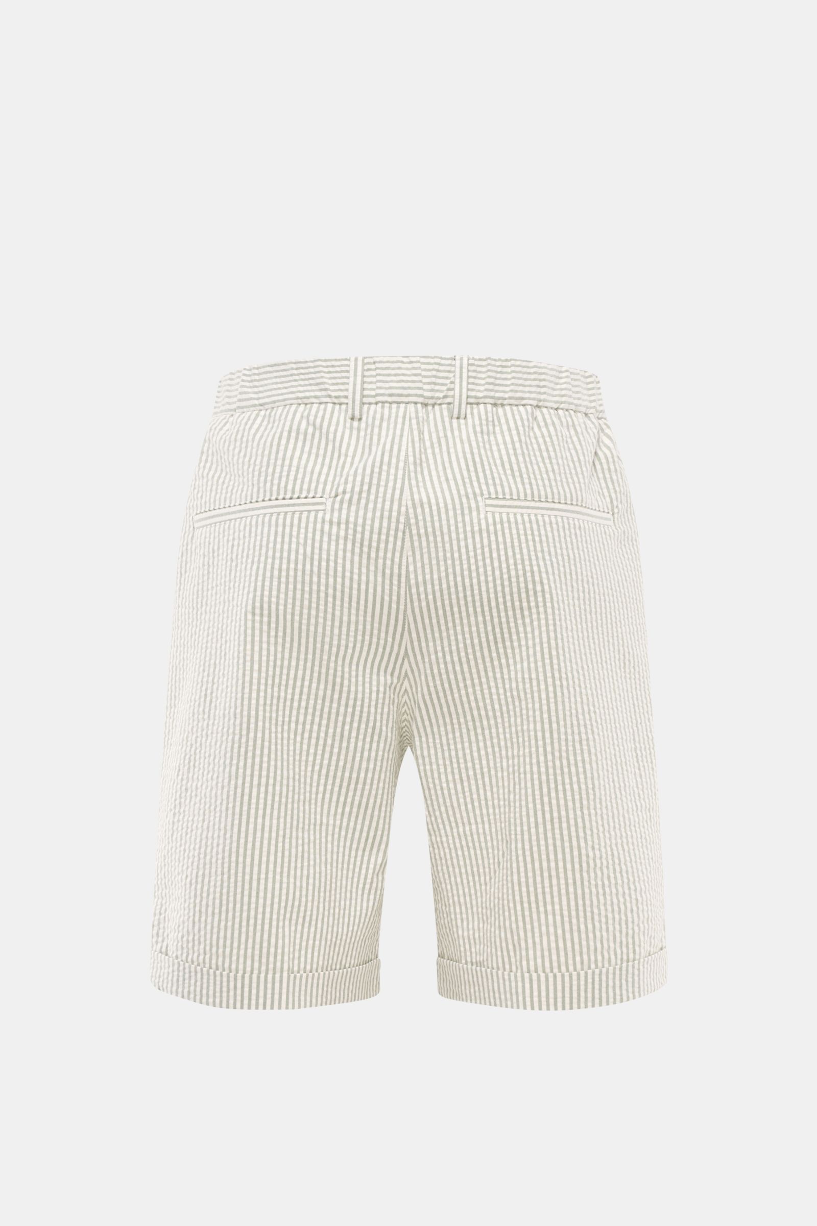 Rear view of 04651/ A trip in a bag Seersucker shorts sage/off-white striped, showing double pleats, French pockets, and fixed hem turn-up.

Perfect for your next summer holiday: With their design in seersucker look, these shorts by 04651/ A TRIP IN A 