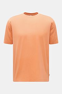 04651/ A trip in a bag Rundhals-T-Shirt orange