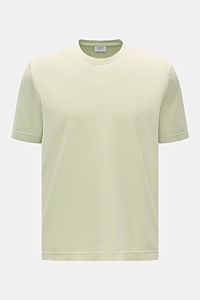 04651/ A trip in a bag Rundhals-T-Shirt pastellgrün, frontal fotografiert, Jersey aus reiner Baumwolle, weicher Griff, Regular Fit, Rundhalsausschnitt, kleines Weblabel.