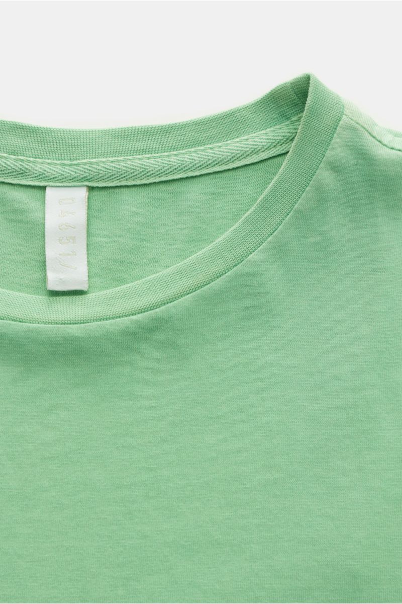 04651/ A trip in a bag Rundhals-T-Shirt 'Jersey Tee' hellgrün