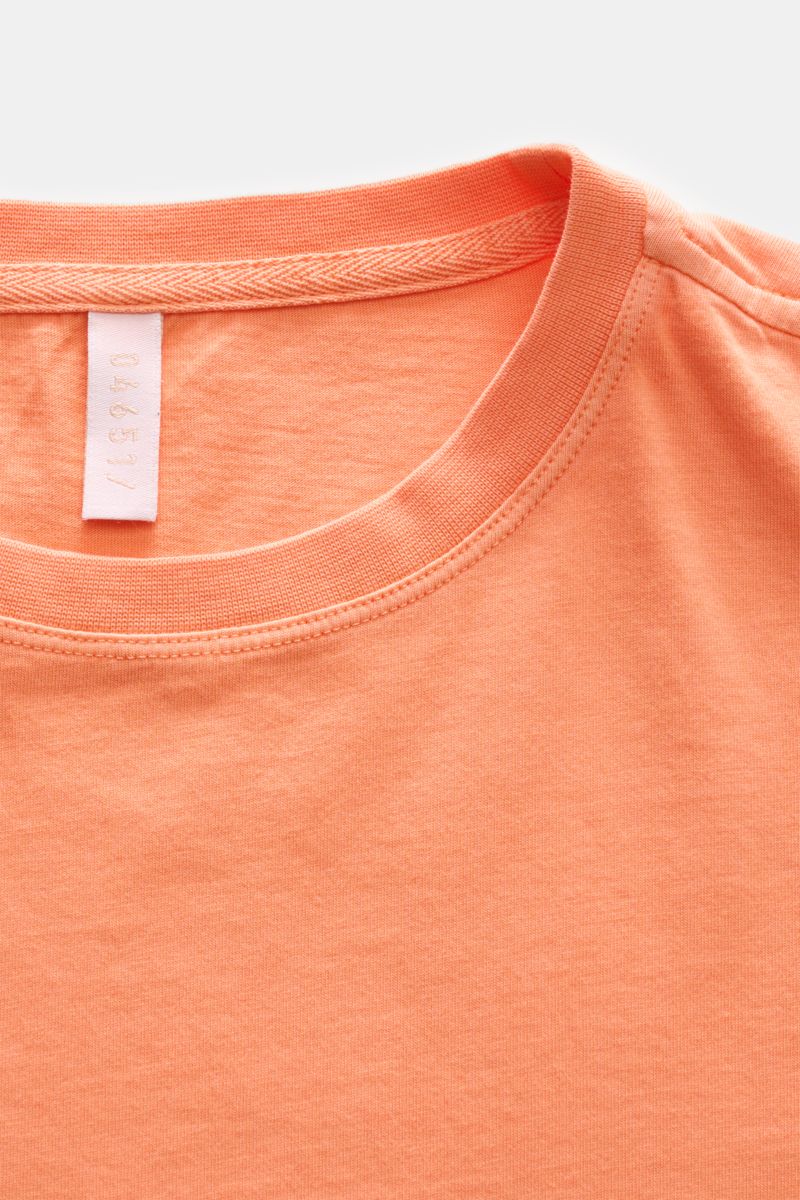 04651/ A trip in a bag Rundhals-T-Shirt orange