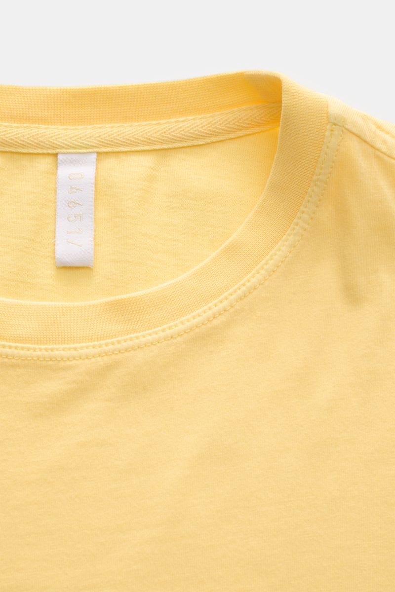04651/ A trip in a bag Rundhals-T-Shirt gelb