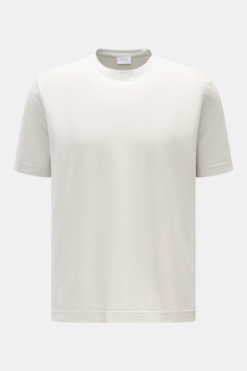 Frontale Nahaufnahme des hellgrauen 04651/ A trip in a bag Rundhals-T-Shirts aus Jersey, reine Baumwolle, weicher Griff, Regular Fit, Rundhalsausschnitt, kleines Weblabel.