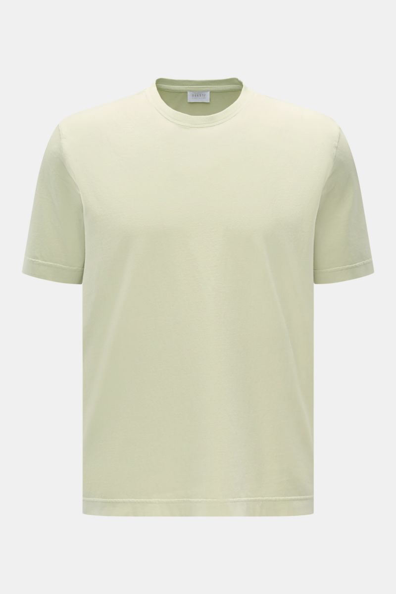 04651/ A trip in a bag Rundhals-T-Shirt pastellgrün, frontal fotografiert, Jersey aus reiner Baumwolle, weicher Griff, Regular Fit, Rundhalsausschnitt, kleines Weblabel.