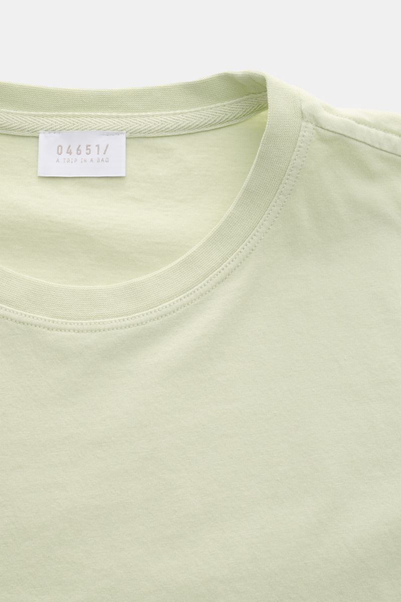Nahaufnahme von 04651/ A trip in a bag Rundhals-T-Shirt pastellgrün, Jersey aus reiner Baumwolle, weicher Griff, Regular Fit, Rundhalsausschnitt, kleines Weblabel.
