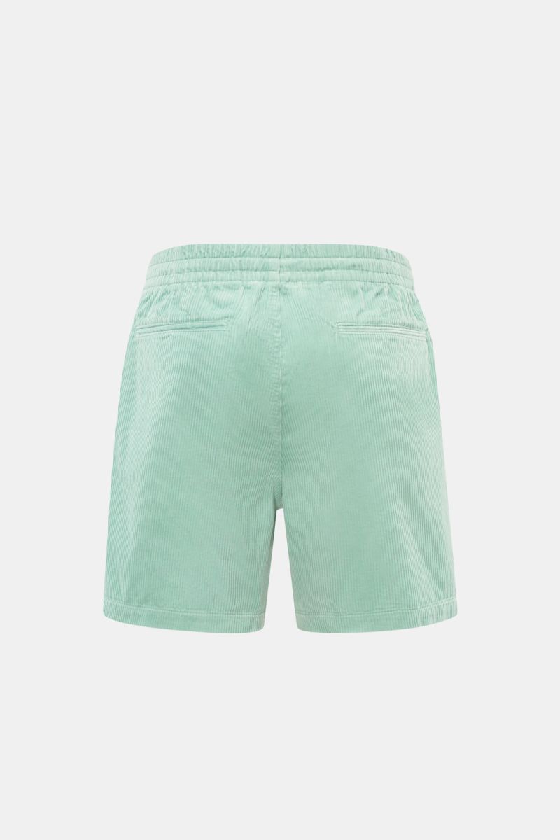 Polo Ralph Lauren Cord-Shorts mint, Rückansicht, reine Baumwolle, weicher Griff, Regular Fit, elastischer Bund, französische Taschen, Logo-Stickerei, Cordgewebe