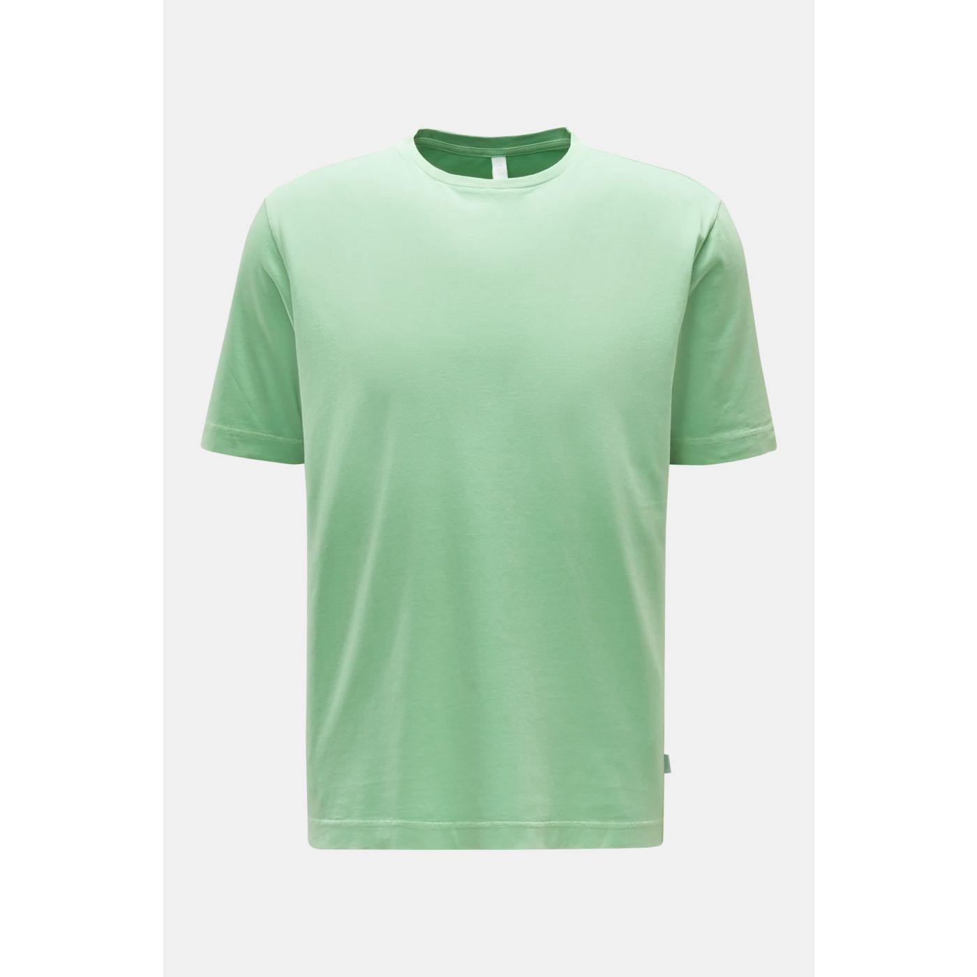04651/ A TRIP IN A BAG Crew neck T-shirt 'Jersey Tee' light green